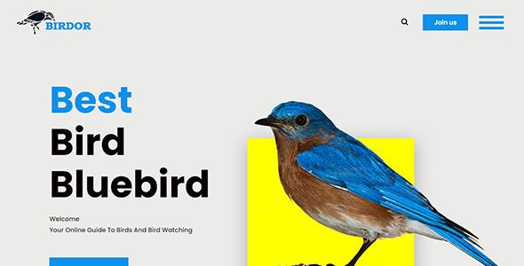 Birdor – Free Bootstrap 4 Creative Agency Website Template