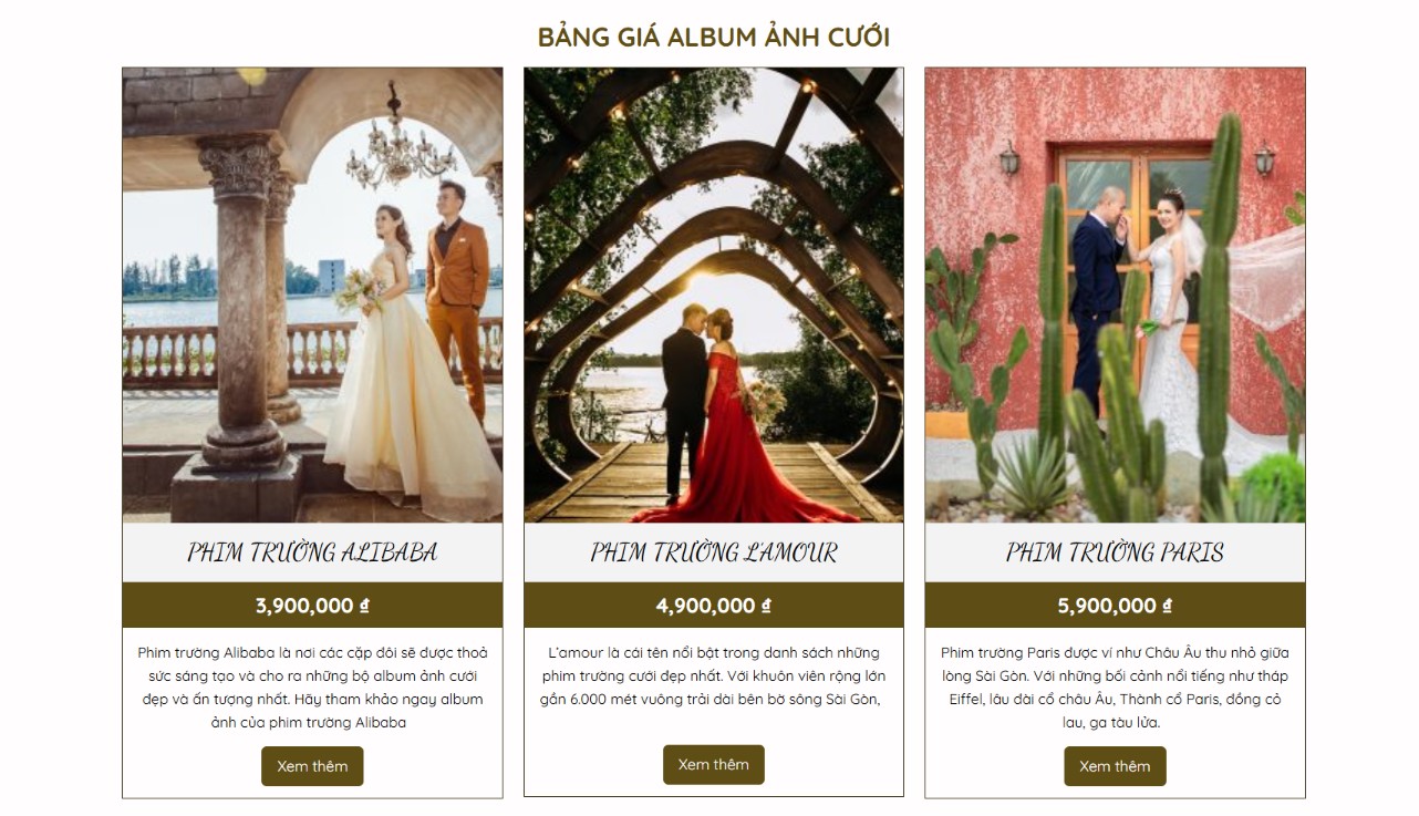 Thiết kế web thời trang