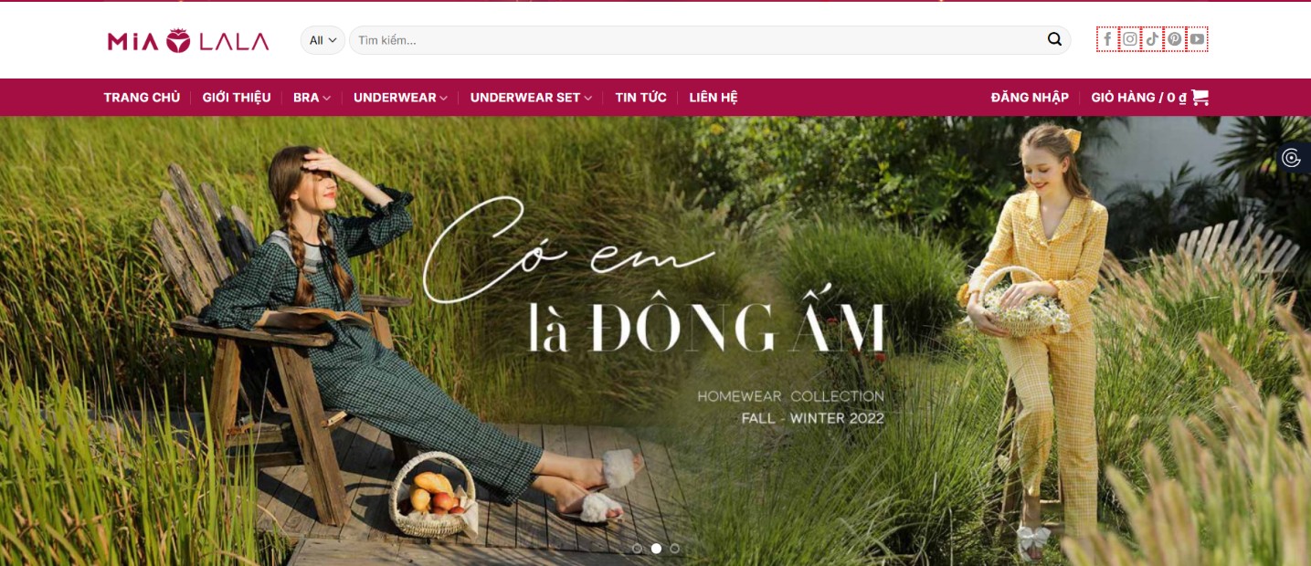 Thiết kế website thời trang chuyên nghiệp