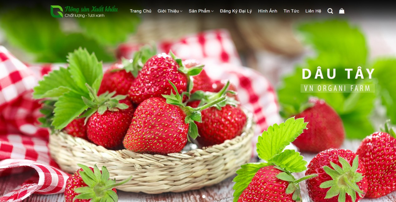 Thiết kế website bán thực phẩm sạch online