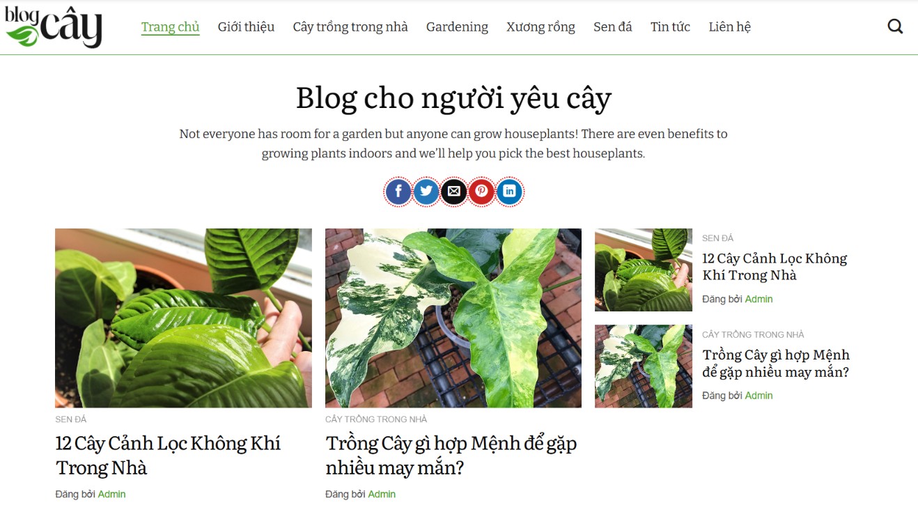 Thiết kế website tin tức chuyên nghiệp